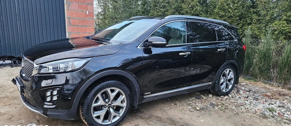 Kia Sorento cena 77500 przebieg: 165000, rok produkcji 2017 z Pabianice małe 191